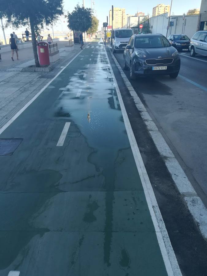 FOTOS: El carril bici de Cádiz, lleno de charcos