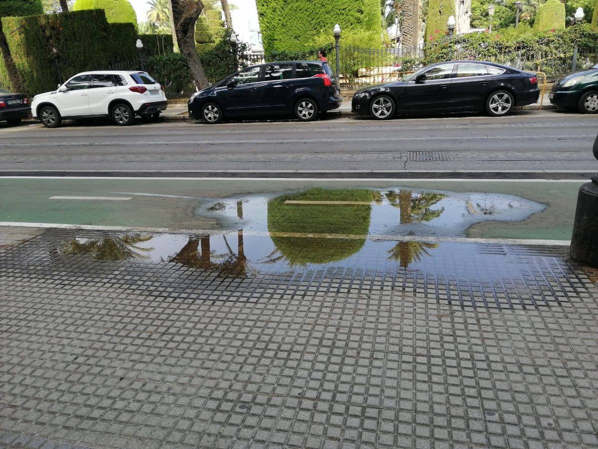 FOTOS: El carril bici de Cádiz, lleno de charcos