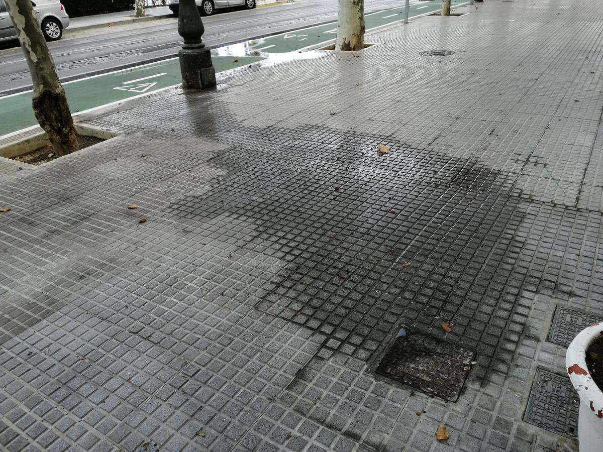 FOTOS: El carril bici de Cádiz, lleno de charcos