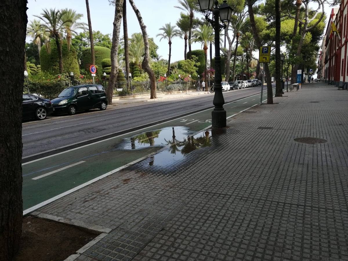 FOTOS: El carril bici de Cádiz, lleno de charcos