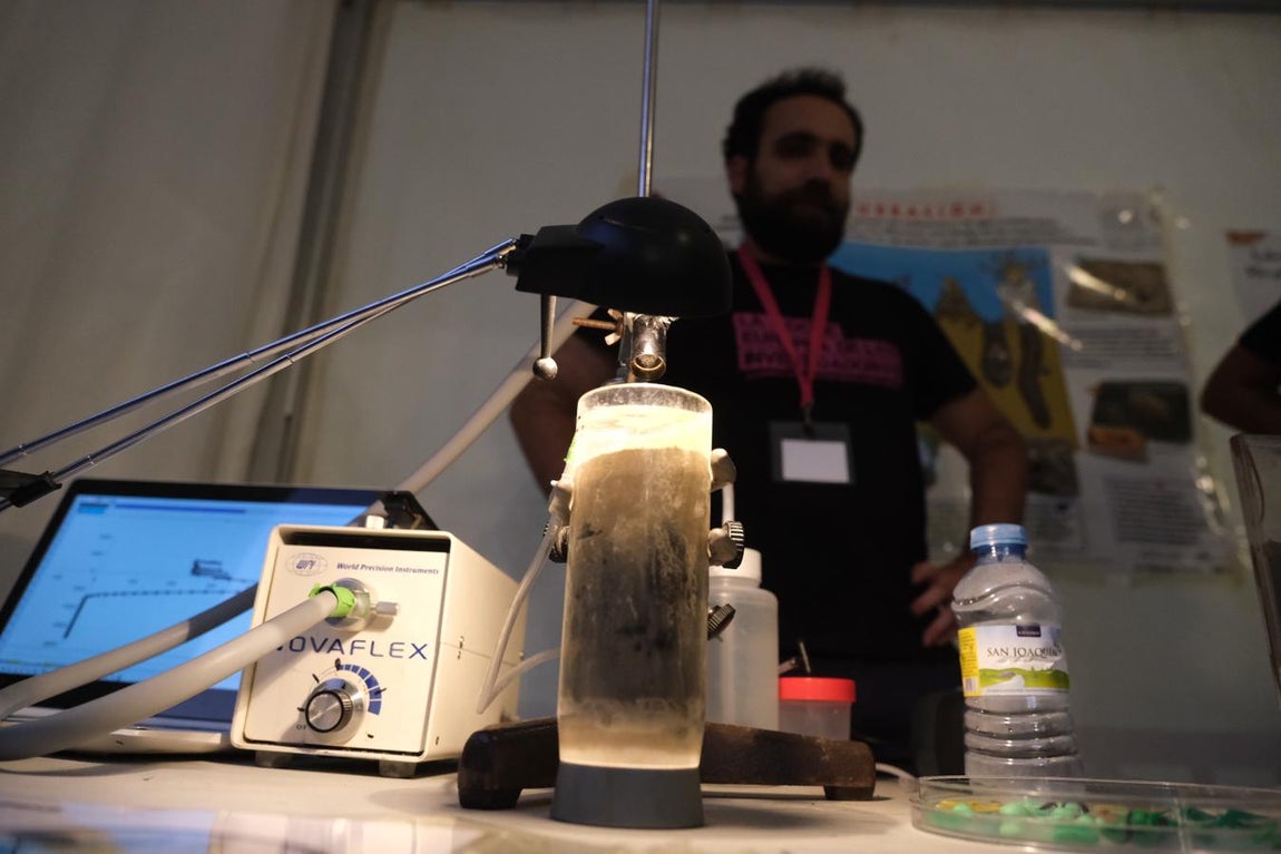 La ciencia arrasa en la Noche Europea de los Investigadores