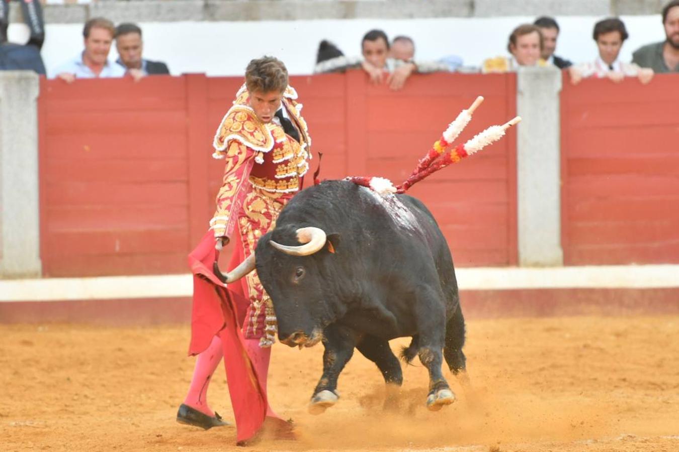 La corrida de toros de Pozoblanco, en imágenes