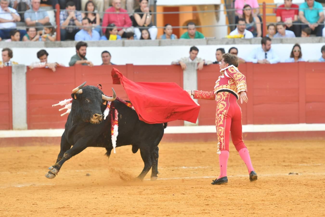 La corrida de toros de Pozoblanco, en imágenes