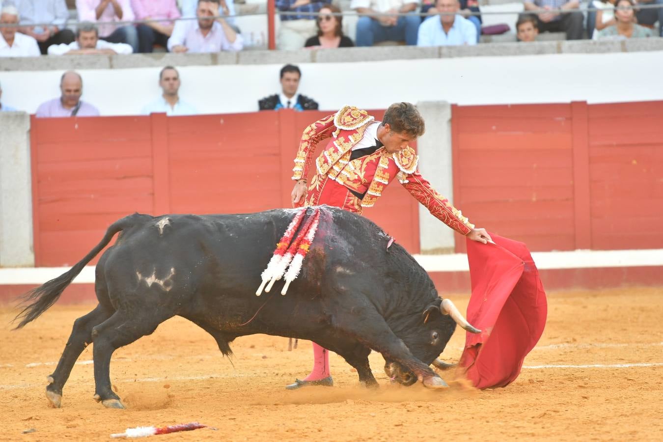 La corrida de toros de Pozoblanco, en imágenes