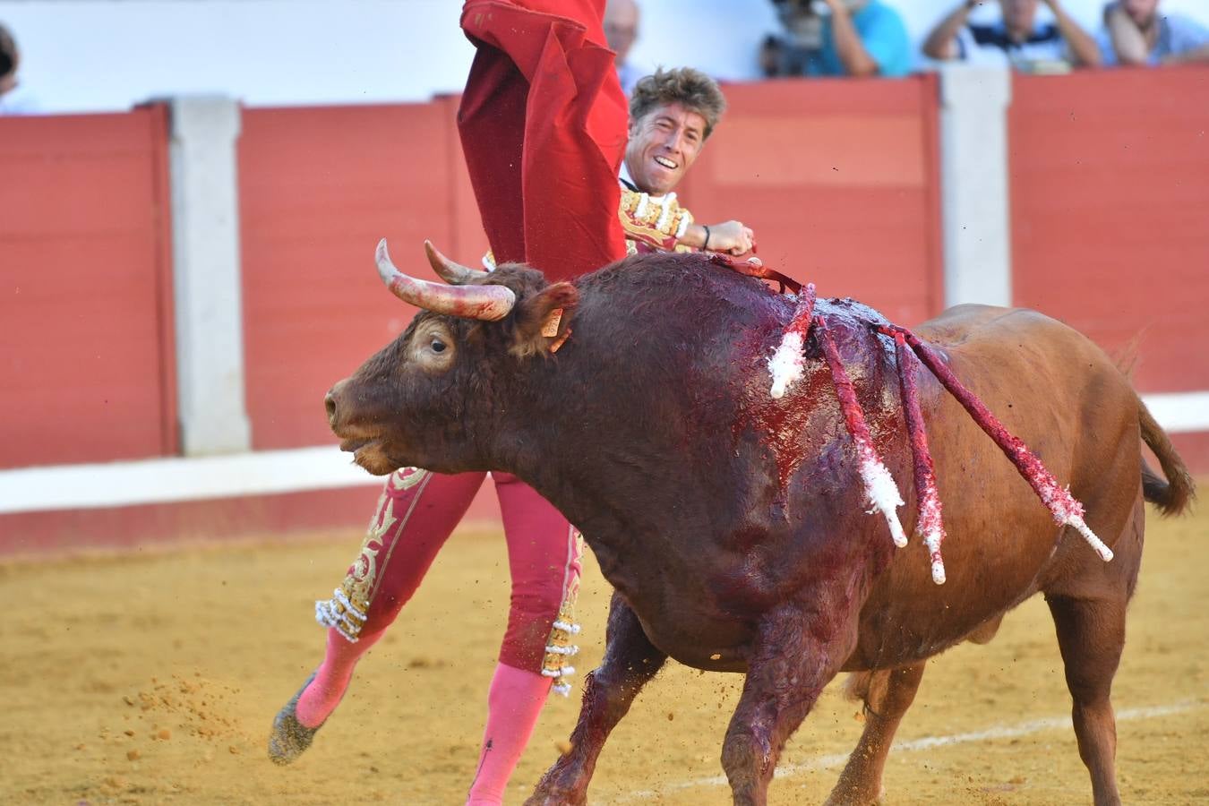 La corrida de toros de Pozoblanco, en imágenes