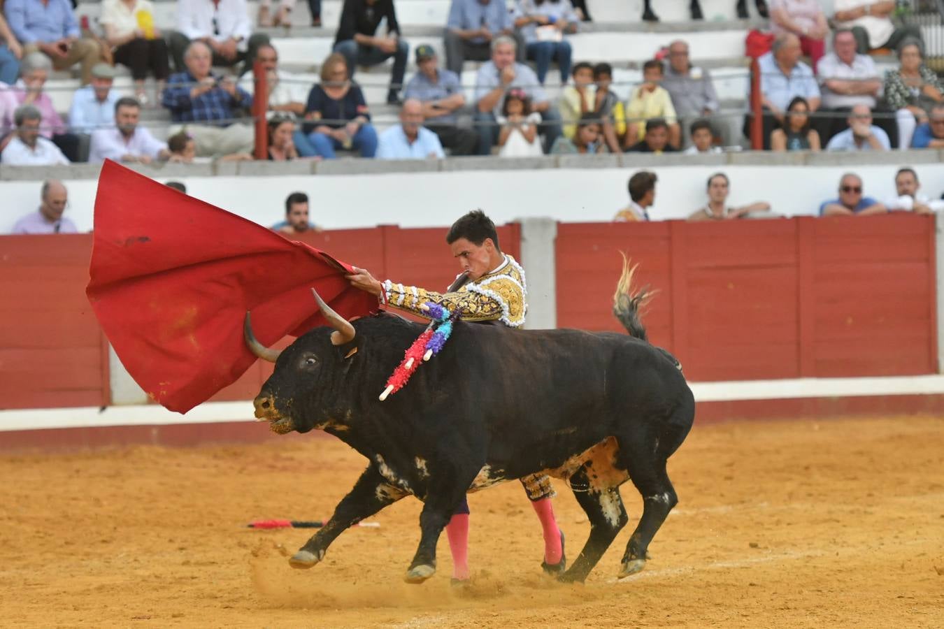 La corrida de toros de Pozoblanco, en imágenes