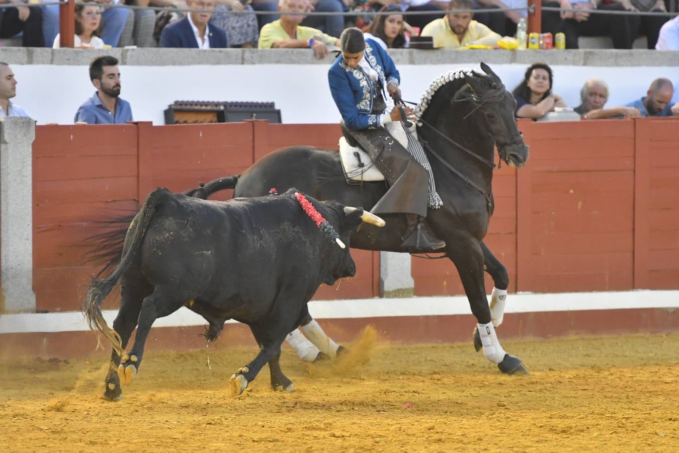 El último festejo de la feria de Pozoblanco, en imágenes