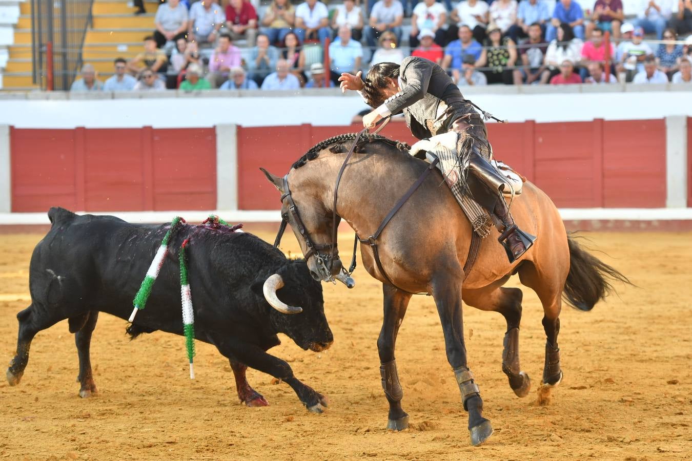 El último festejo de la feria de Pozoblanco, en imágenes