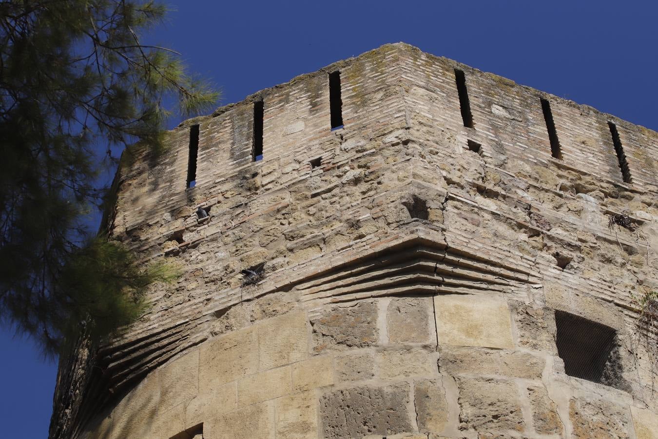 Las obras para abrir un pequeño museo en la Torre de la Inquisición del Alcázar de Córdoba, para fin de año