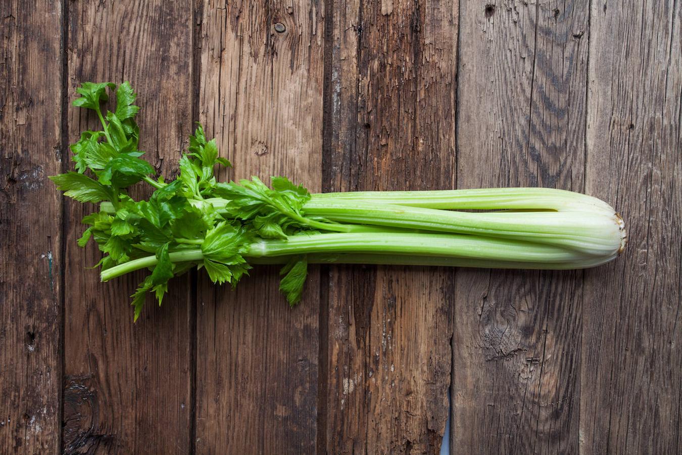 Apio. Al igual que las zanahorias, el apio es nuestro aliado a la hora de limpiar la placa bucal. También, puede utilizarse para eliminar el mal aliento.