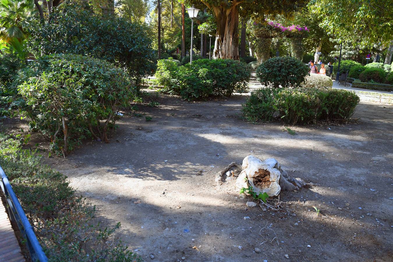 El deterioro del parque de María Luisa, en imágenes (I)