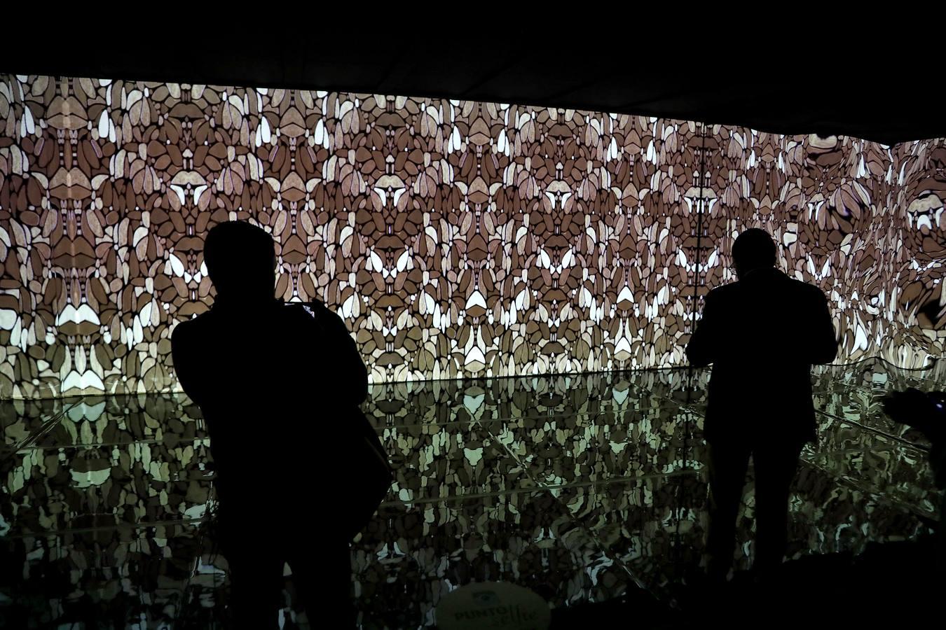 La exposición «El oro de Klimt» llega al Pabellón de la Navegación de Sevilla
