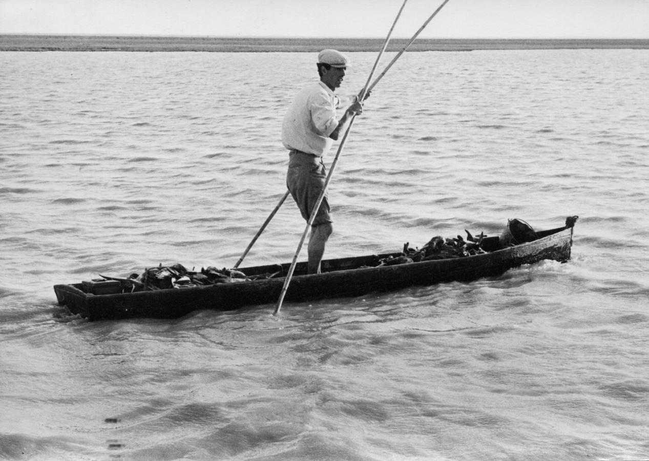 Doñana cumple cincuenta años