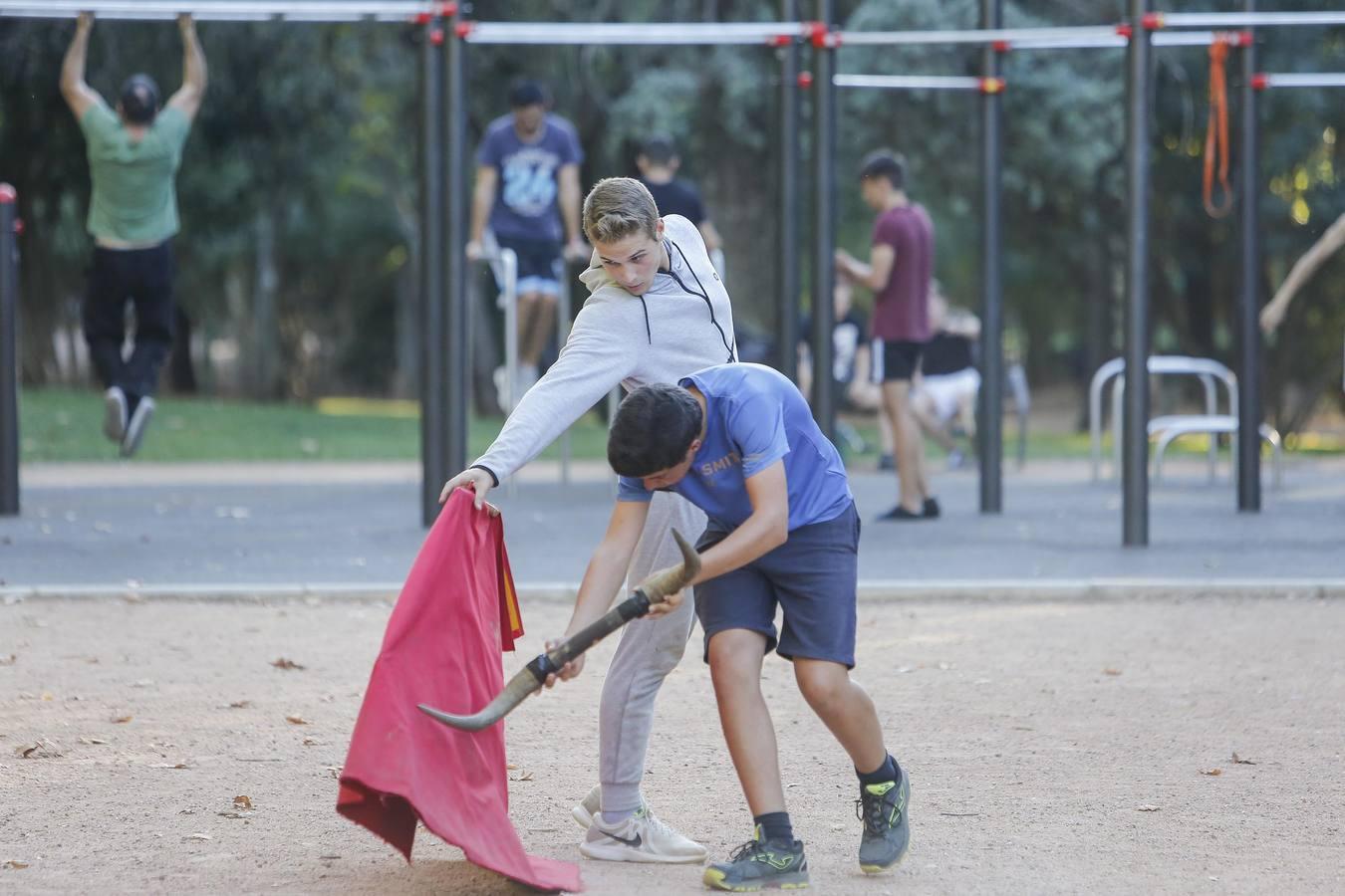 La Escuela Taurina de Córdoba, en imágenes