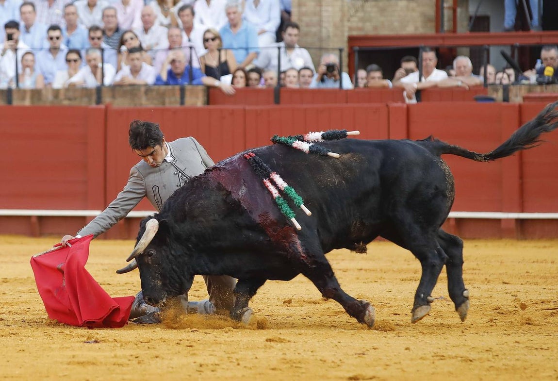 Miguel Ángel Perera