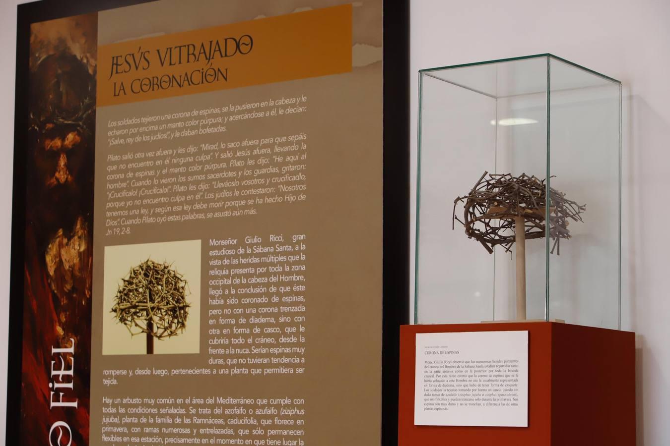 La exposición «Testigo fiel» en la Iglesia del Juramento de Córdoba, en imágenes