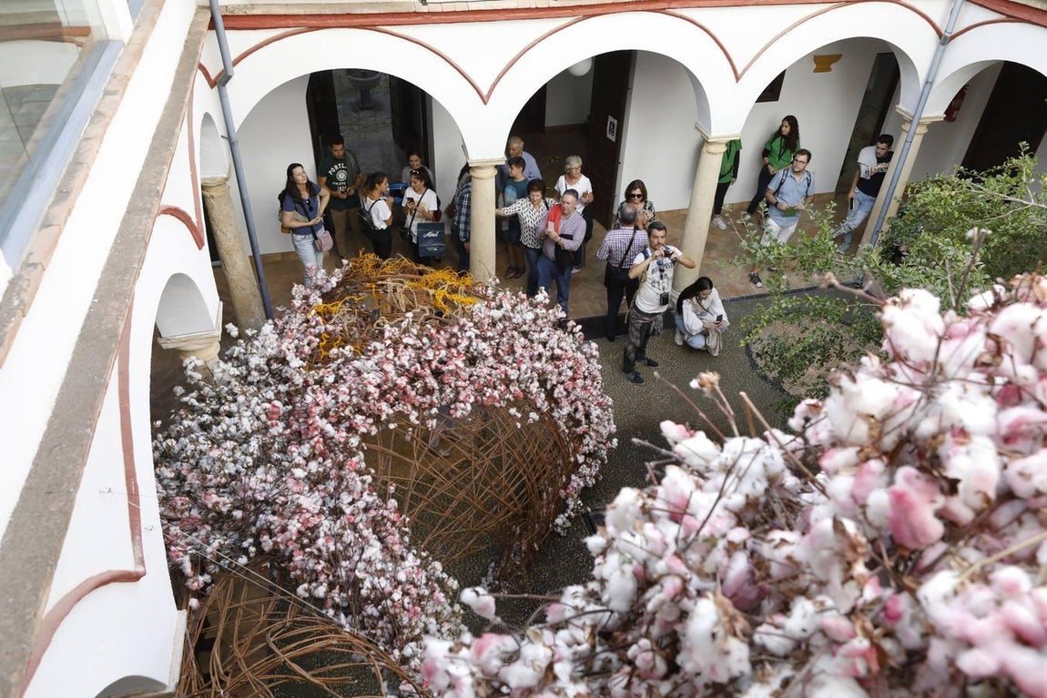 Las instalaciones del Festival Flora  2019, en imágenes