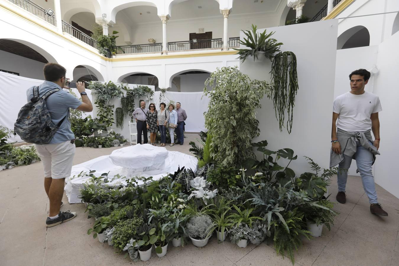 Las instalaciones del Festival Flora  2019, en imágenes