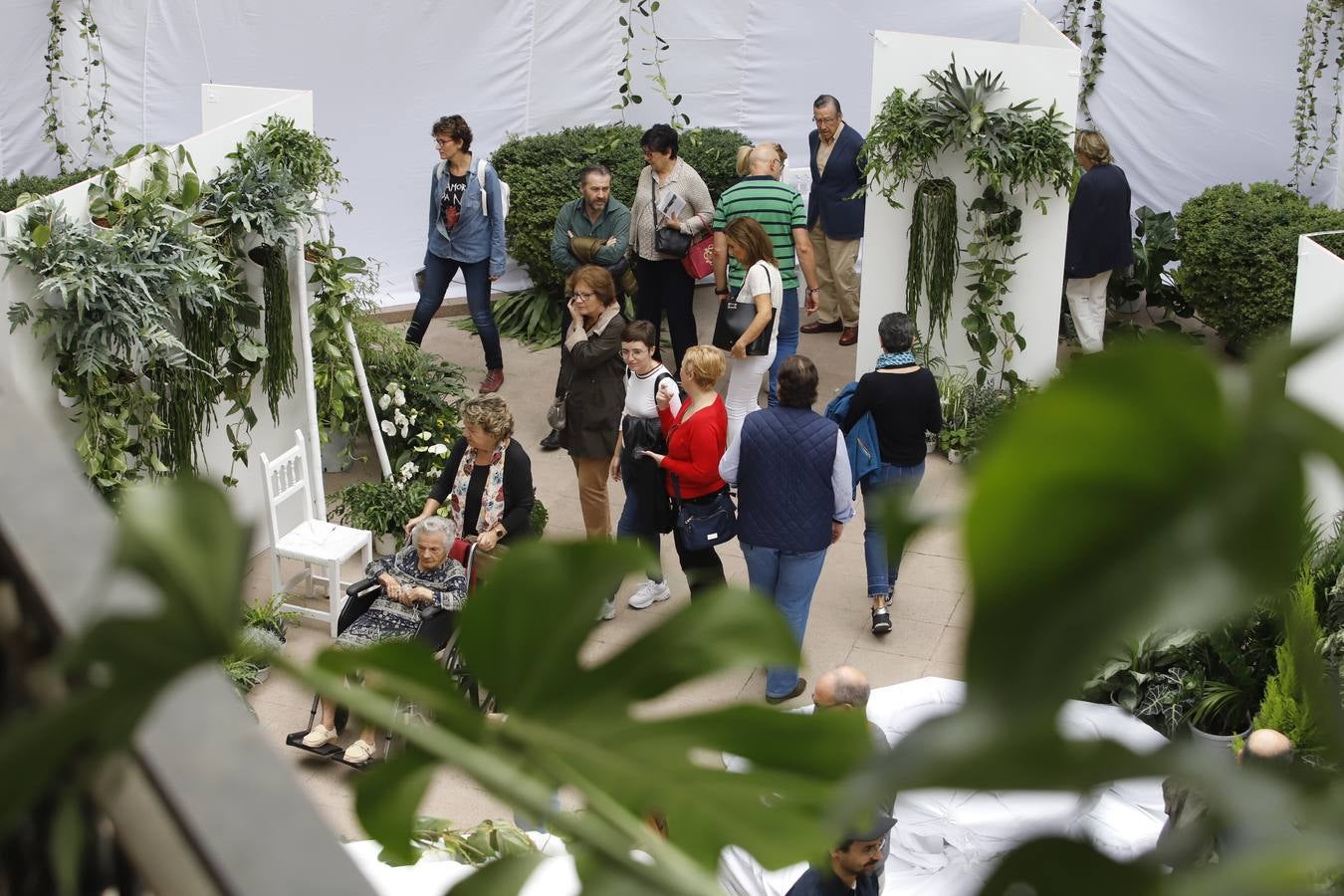 En imágenes, el ambiente del Festival Flora 2019 en Córdoba