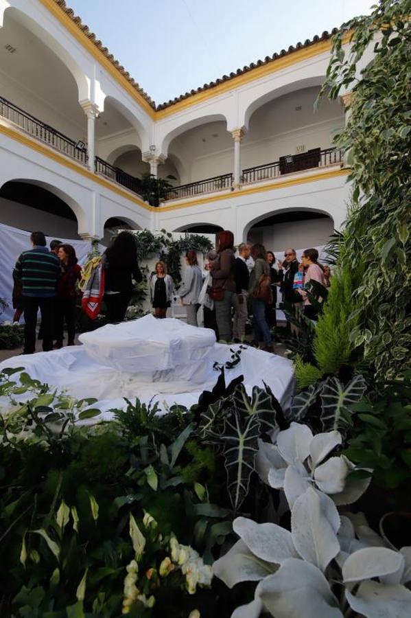 Las visitas a Flora en Córdoba, en imágenes