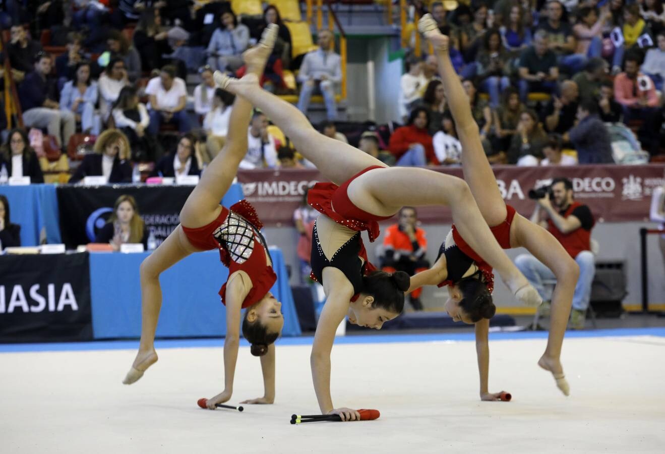 El torneo Ciudad de Córdoba «Lourdes Mohedano» de gimnasia, en imágenes
