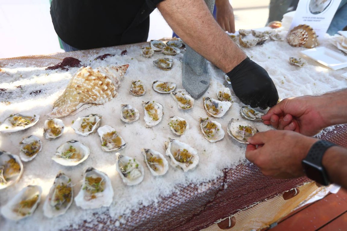 Jornadas de la Sal y Estero