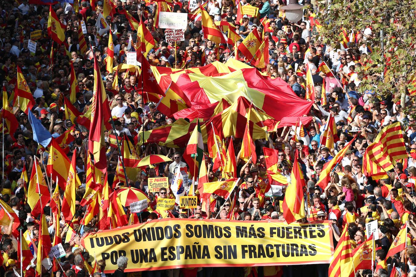 Miles de banderas de España han llenado el Paseo de Gracia de Barcelona. 