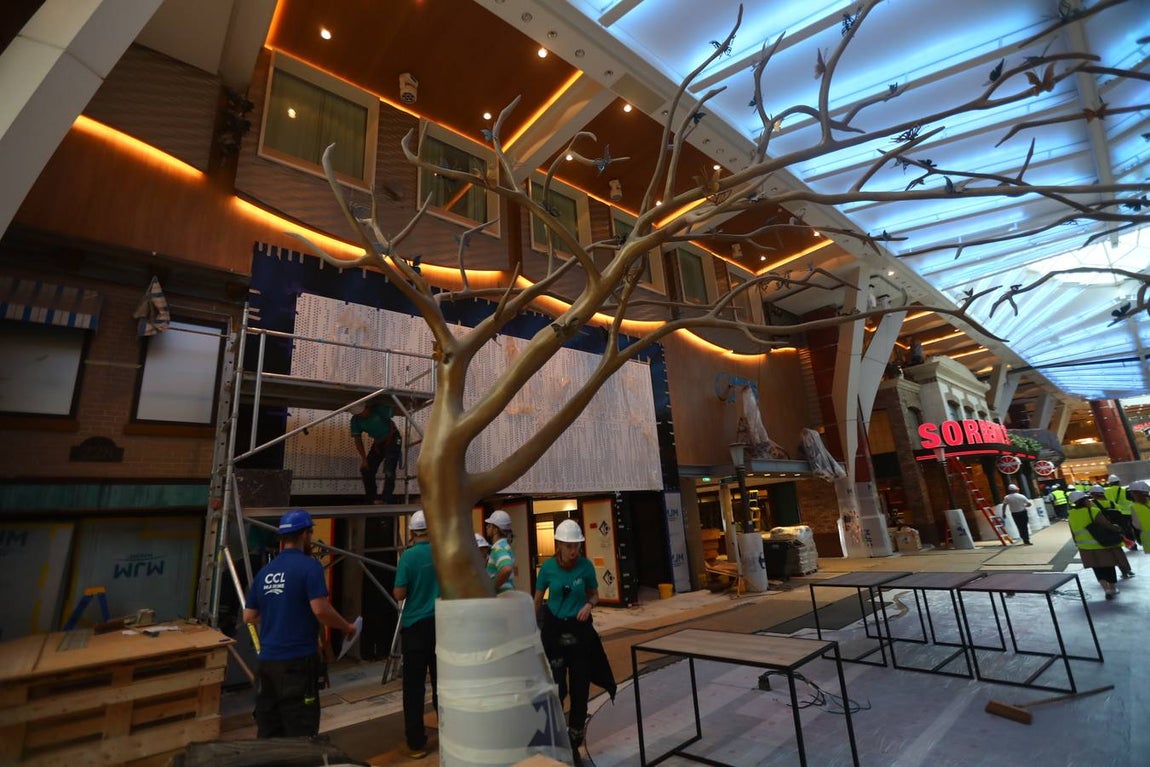 Las primeras imágenes de la reparación del crucero Oasis, de Royal Caribbean