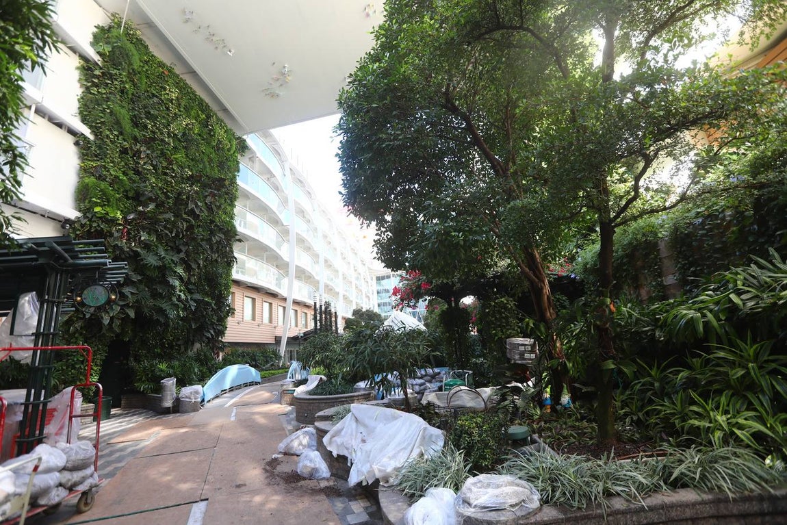 Las primeras imágenes de la reparación del crucero Oasis, de Royal Caribbean