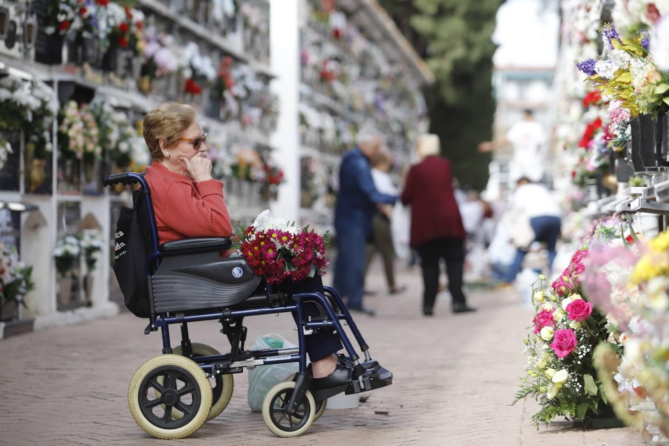 Los cementerios de Córdoba, en imágenes