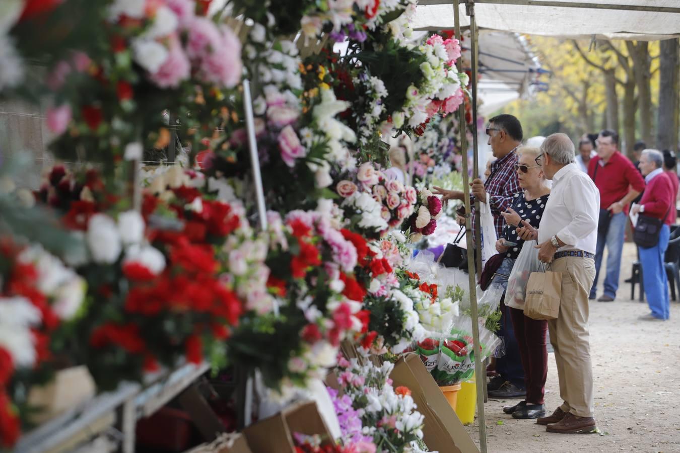 Los cementerios de Córdoba, en imágenes