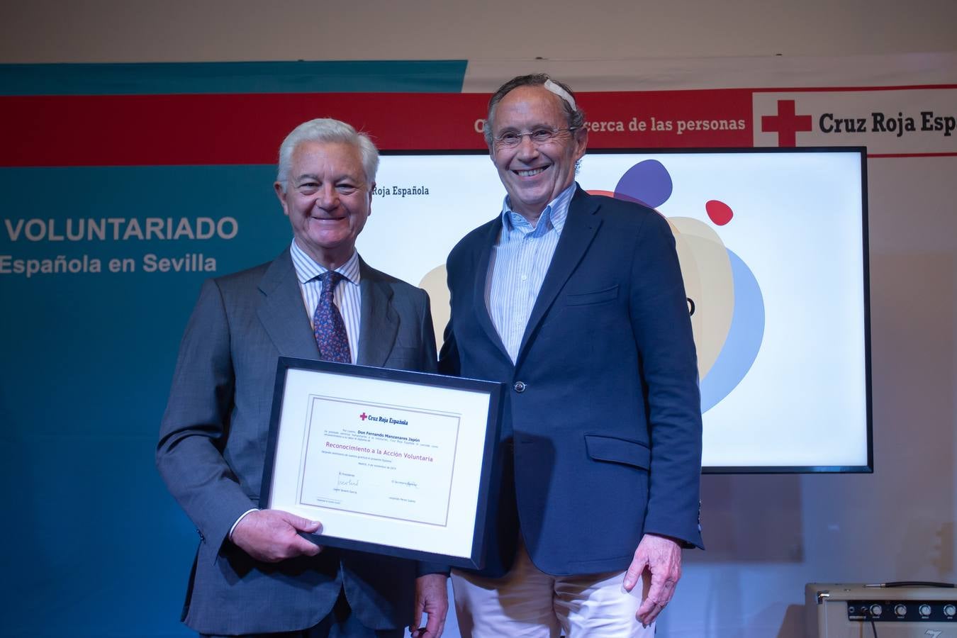 Entrega de los Premios Voluntariado 2019 de la Cruz Roja, en imágenes