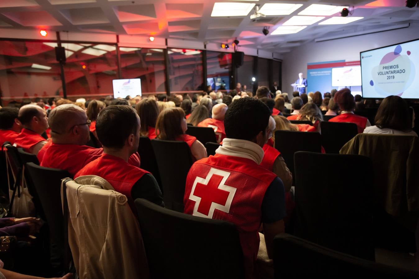 Entrega de los Premios Voluntariado 2019 de la Cruz Roja, en imágenes