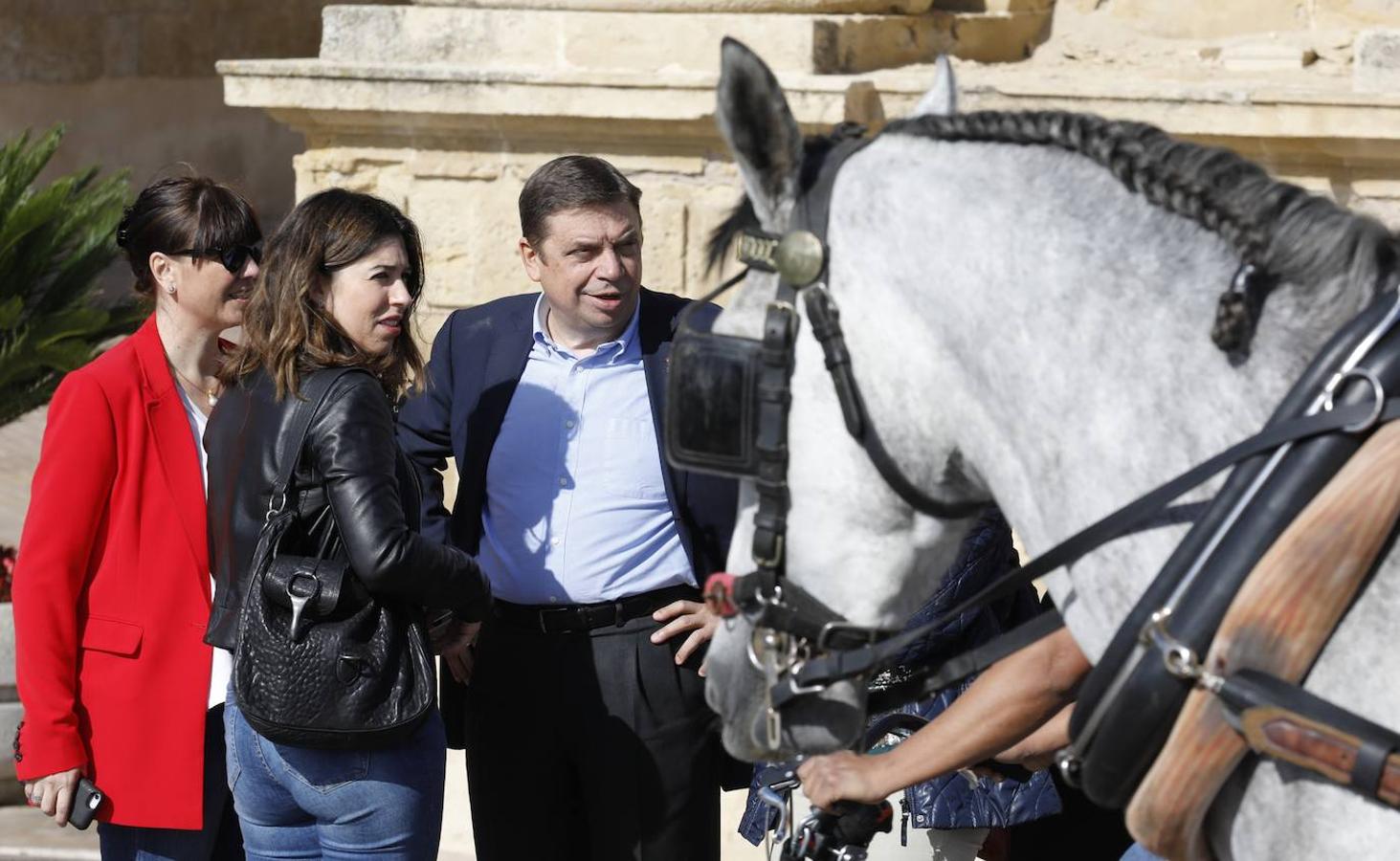 La visita de Pedro Sánchez a Córdoba, en imágenes