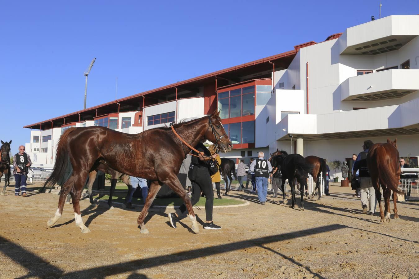 Comienza la temporada en el hipódromo de Dos Hermanas