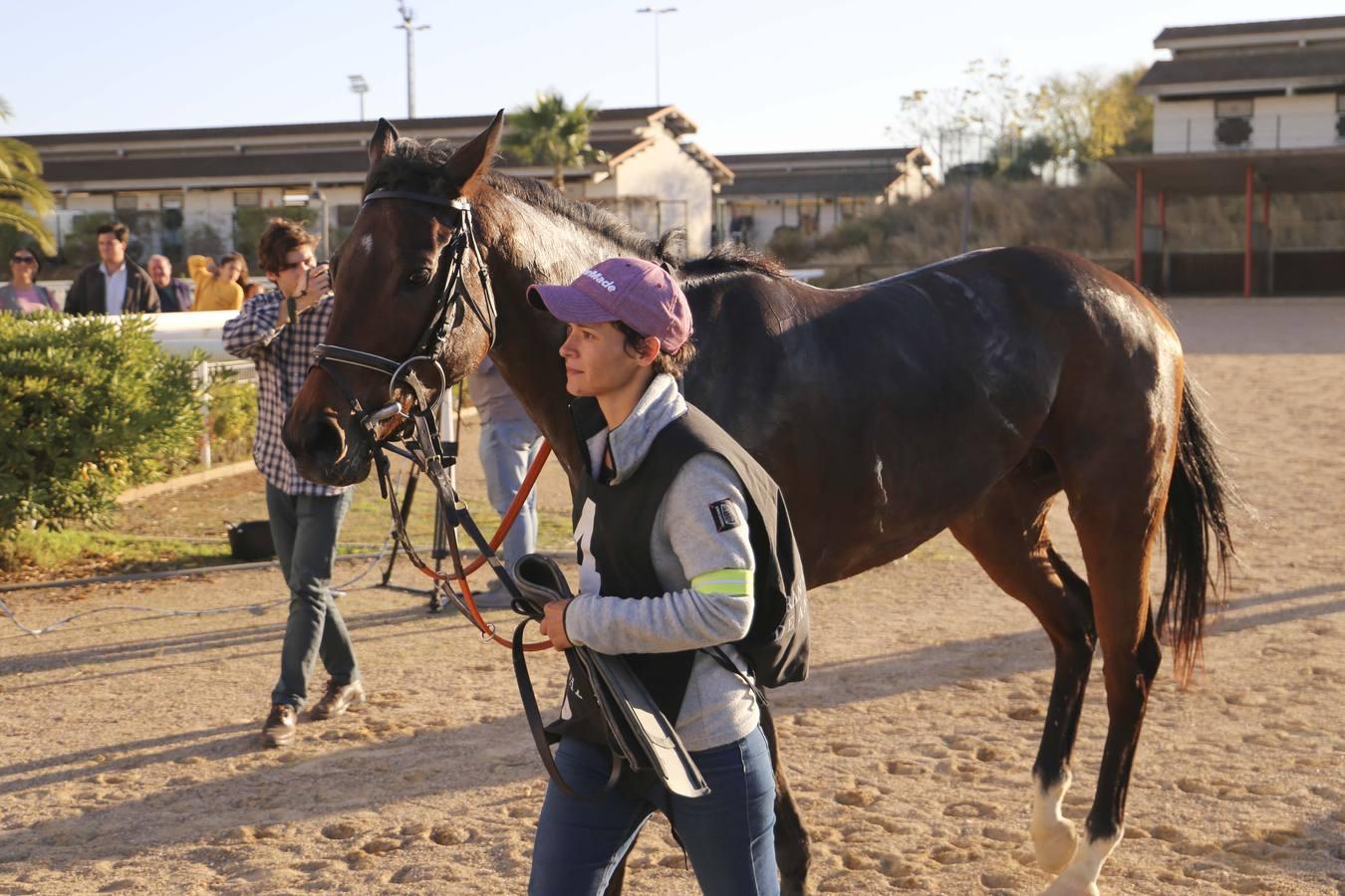 Comienza la temporada en el hipódromo de Dos Hermanas