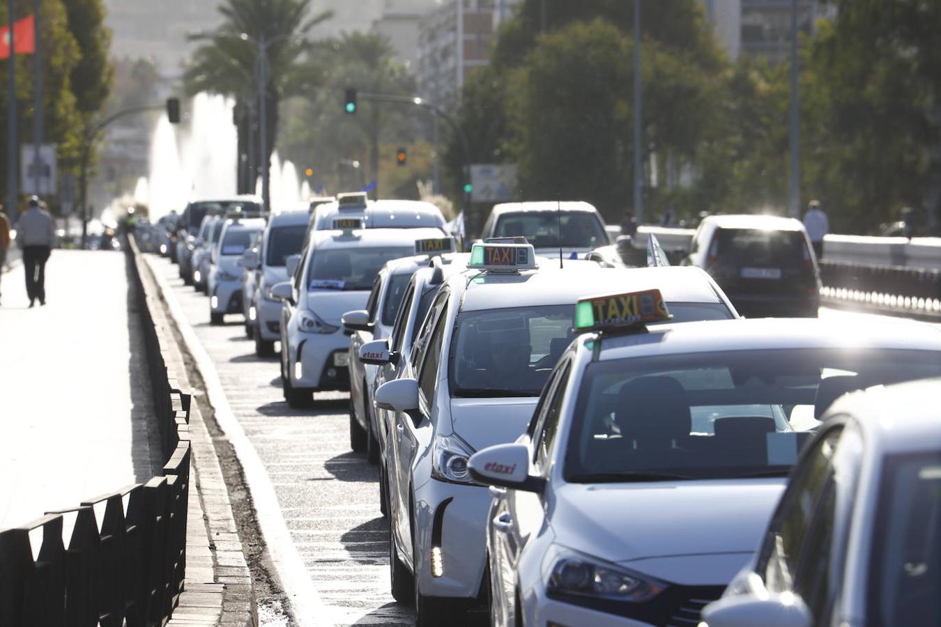 La protesta de los taxistas en Córdoba, en imágenes