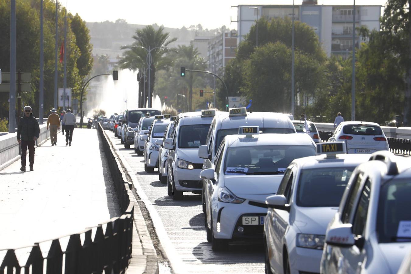 La protesta de los taxistas en Córdoba, en imágenes