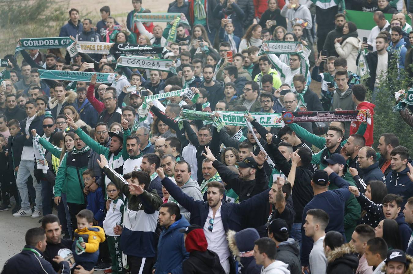 Las concentraciones en el partido del Córdoba CF, en imágenes