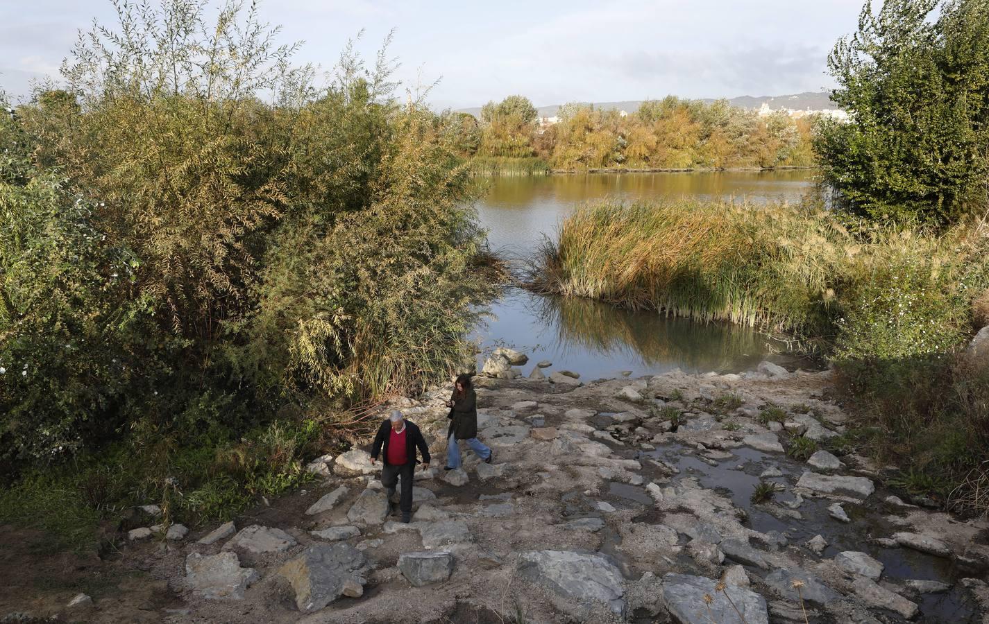 La suciedad y el lodo ponen en jaque a la ribera del Guadalquivir en Córdoba