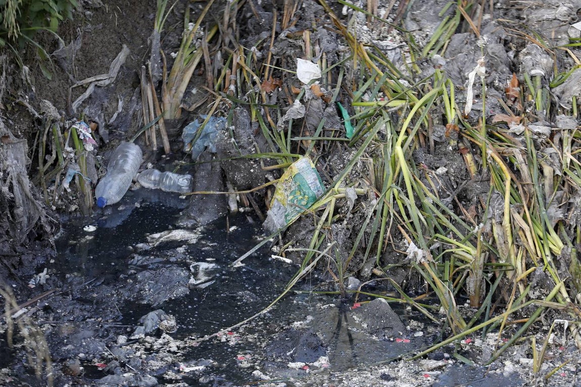 El lamentable estado del río en Córdoba, en imágenes