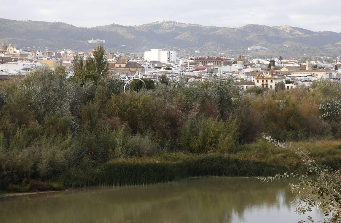 El lamentable estado del río en Córdoba, en imágenes