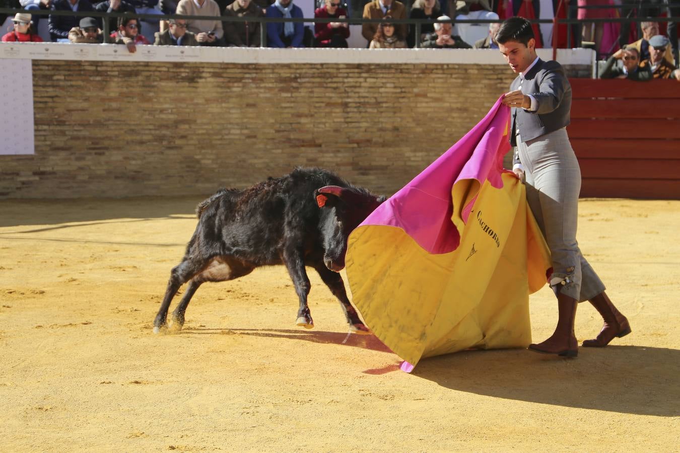 La Escuela Taurina de Sevilla celebra sus bodas de plata