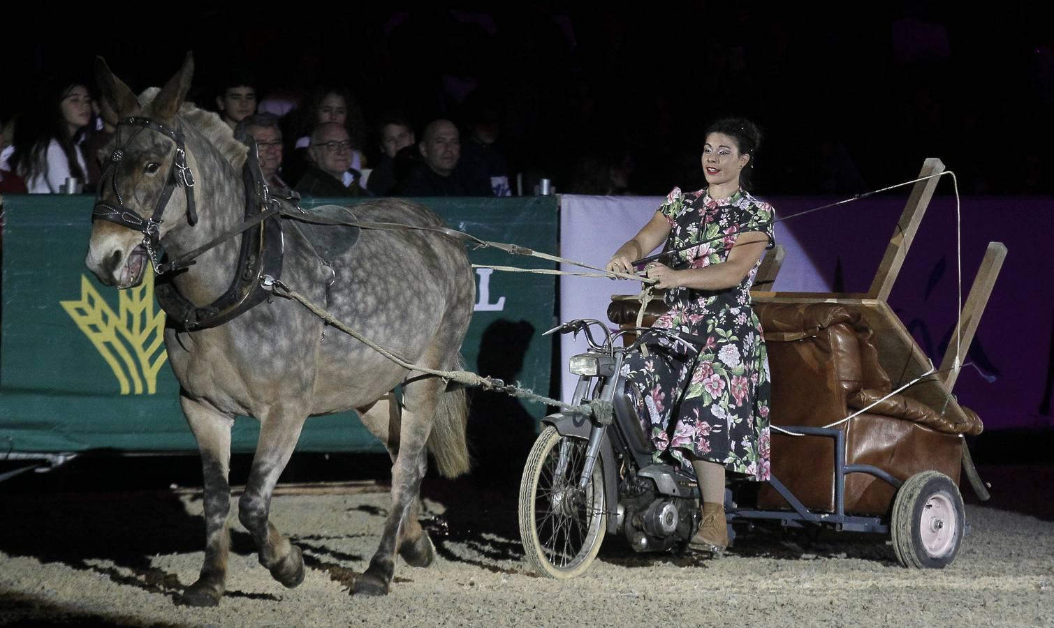 Álvaro Domecq abre el Sicab