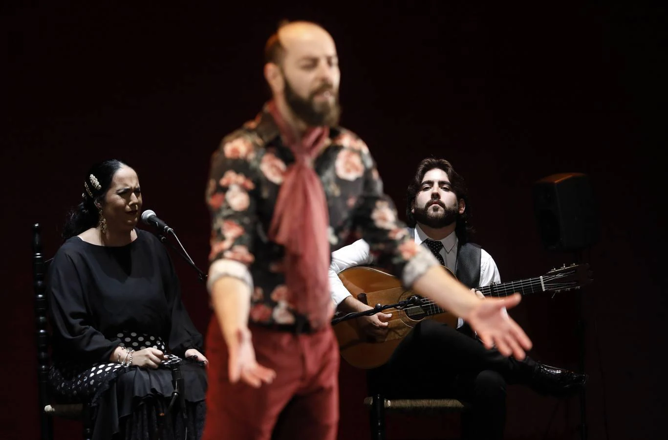 La última final del Concurso Nacional de Arte Flamenco, en imágenes
