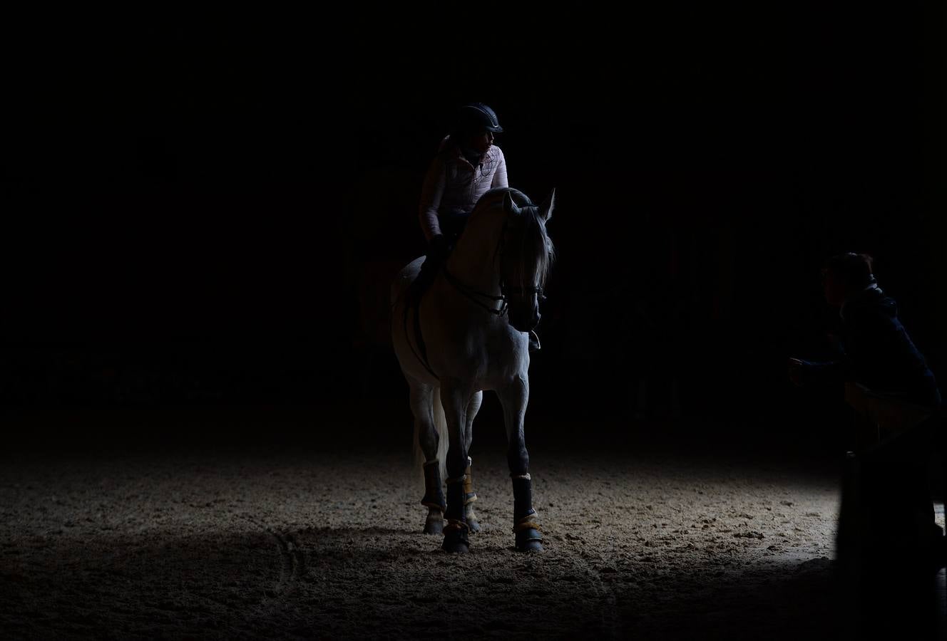 El campeonato del mundo del caballo de Pura Raza Española en SICAB 2019 (I)