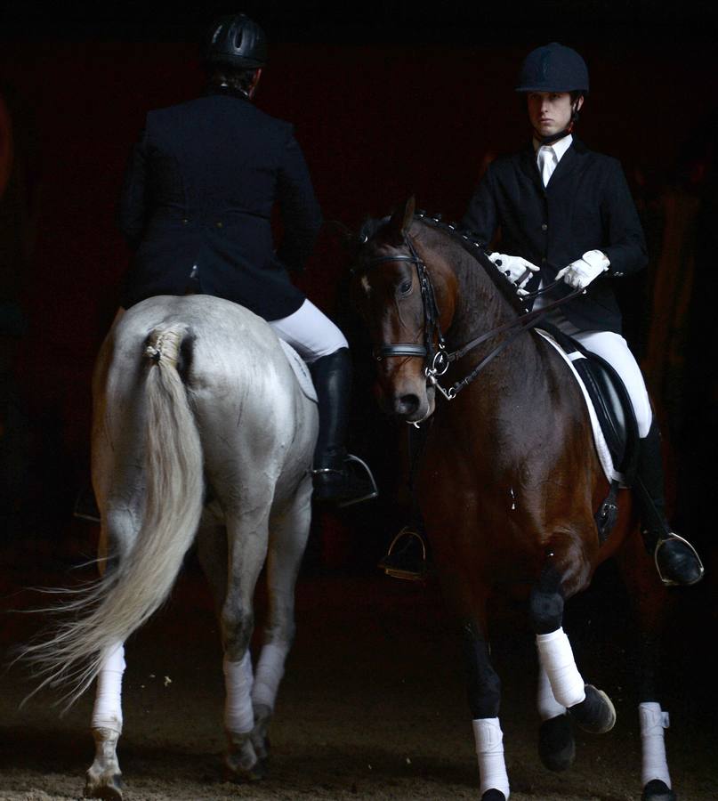 El campeonato del mundo del caballo de Pura Raza Española en SICAB 2019 (I)