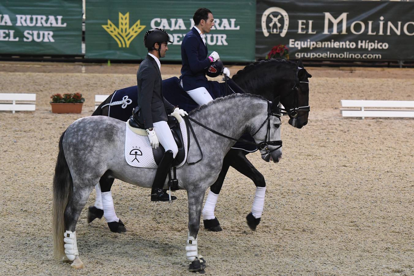 El campeonato del mundo del caballo de Pura Raza Española en SICAB 2019 (I)