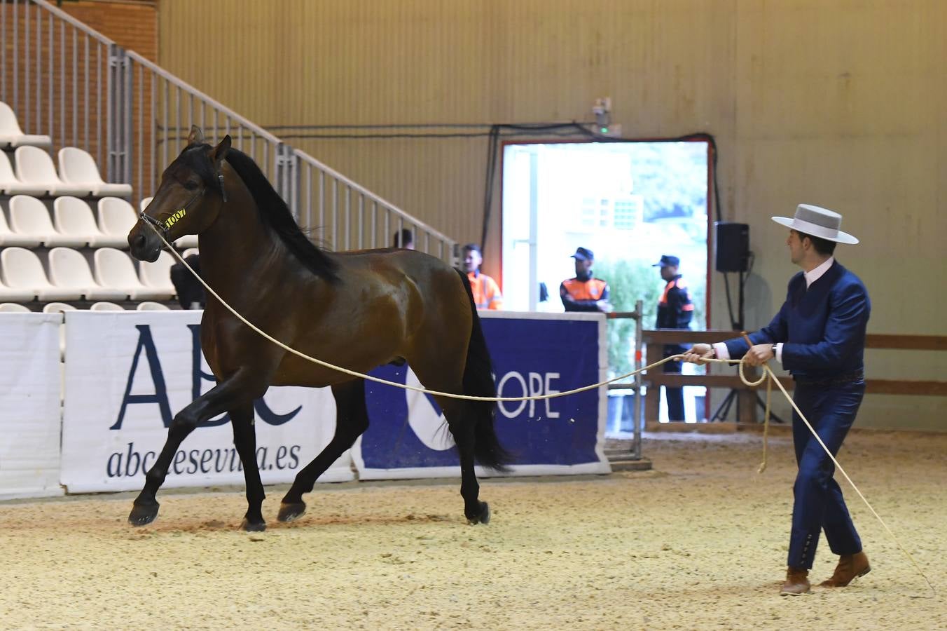 El campeonato del mundo del caballo de Pura Raza Española en SICAB 2019 (I)