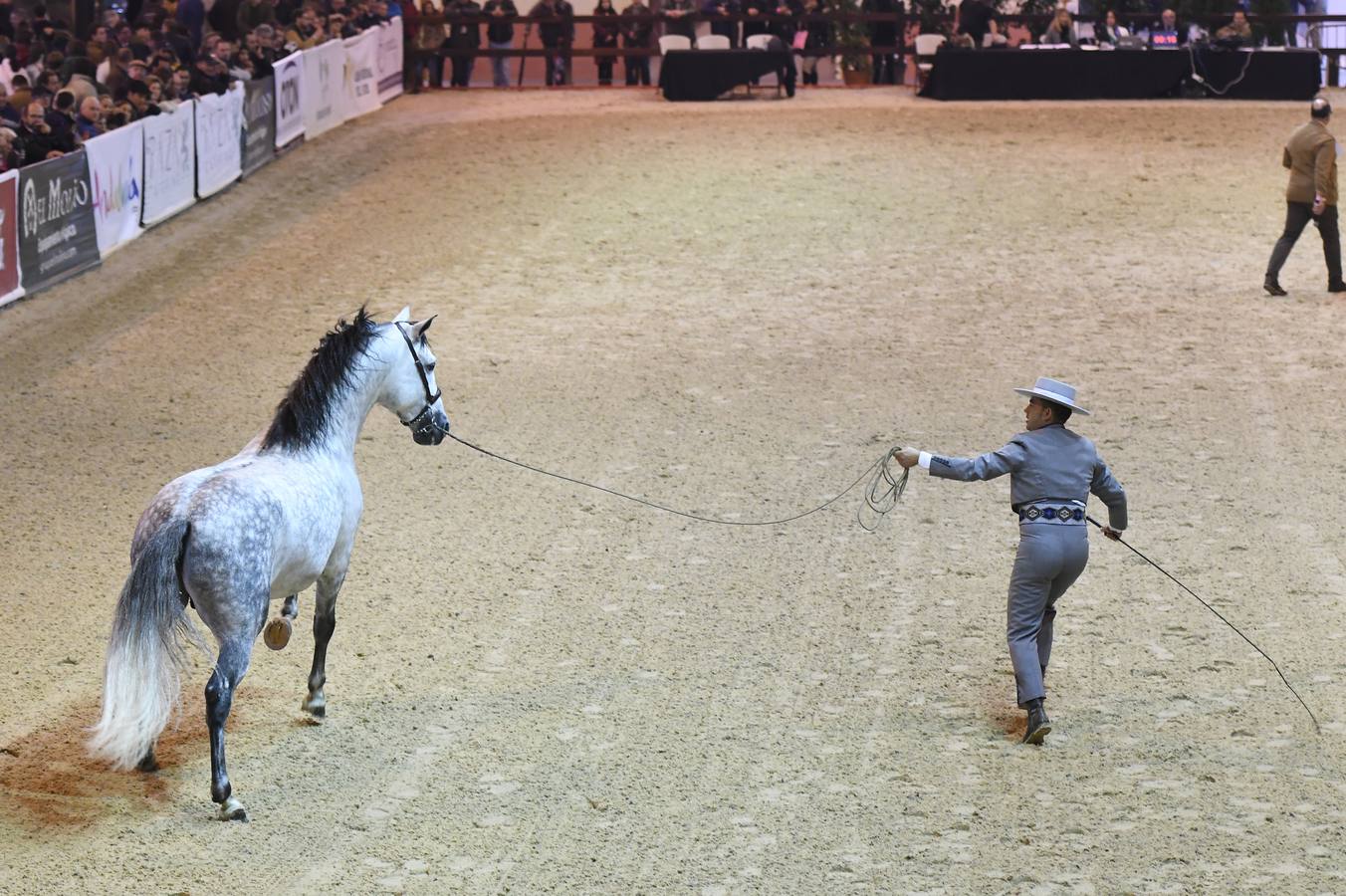 El campeonato del mundo del caballo de Pura Raza Española en SICAB 2019 (I)